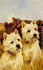Jacque and Jean, Champion Westhighland White Terriers by Arthur Wardle